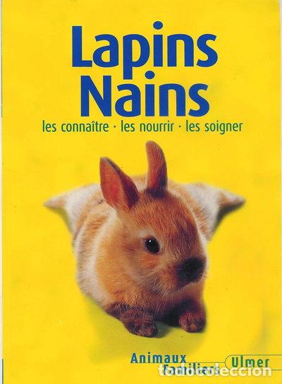 Livros em segunda m&atilde;o: Lapins nains- 9782841381715