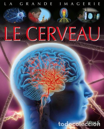 Libri di seconda mano: Le cerveau- 9782215144571