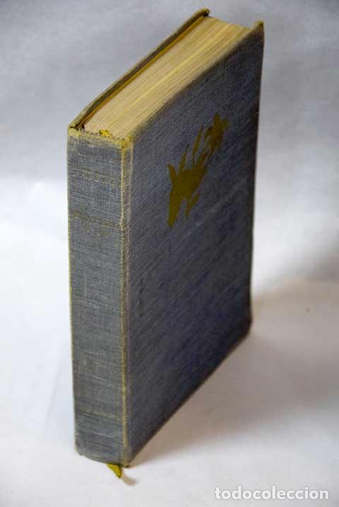 Libros: Platero y yo: eleg&iacute;a andaluza.- Jim&eacute;nez, Juan Ram&oacute;n