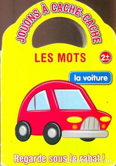 Libros: Les mots- 9782849039168