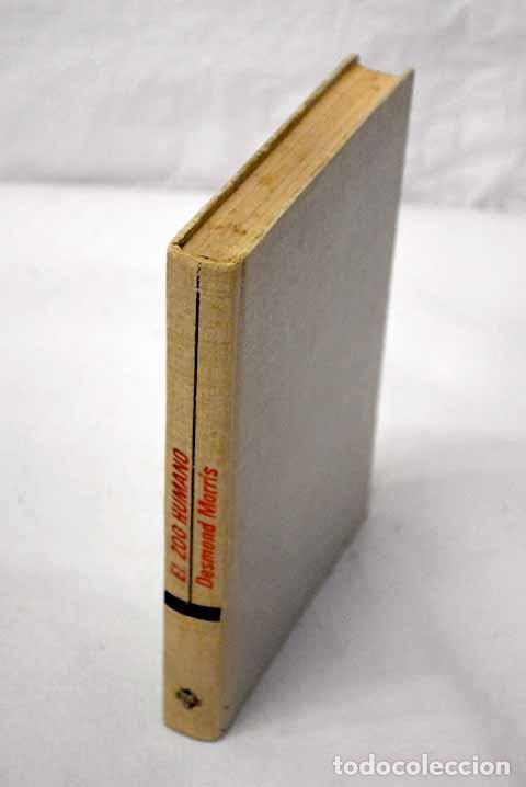Libri di seconda mano: El zoo humano: Morris, Desmond.- Morris, Desmond