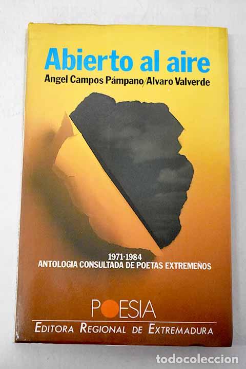 B&uuml;cher: Abierto al aire: antolog&iacute;a consultada de poetas extreme&ntilde;os (1971-1984)