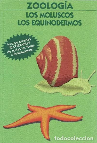 Livros em segunda m&atilde;o: Zoolog&iacute;a. Los moluscos - Los equinodermos- 9788489680838