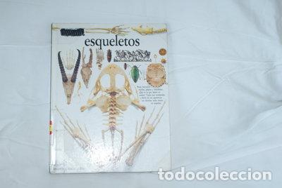 books: Esqueletos- 9788437237244