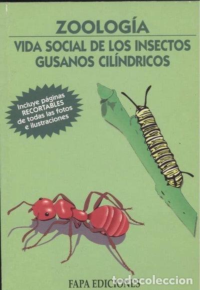 Libri di seconda mano: Vida social de los insectos: gusanos cil&iacute;ndricos- 9788489680883