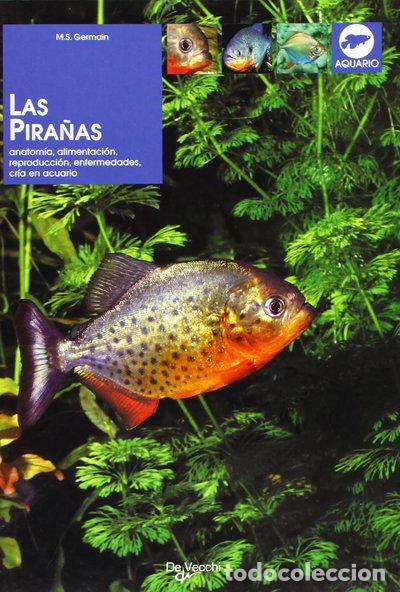Libros: Las pira&ntilde;as- 9788431537401