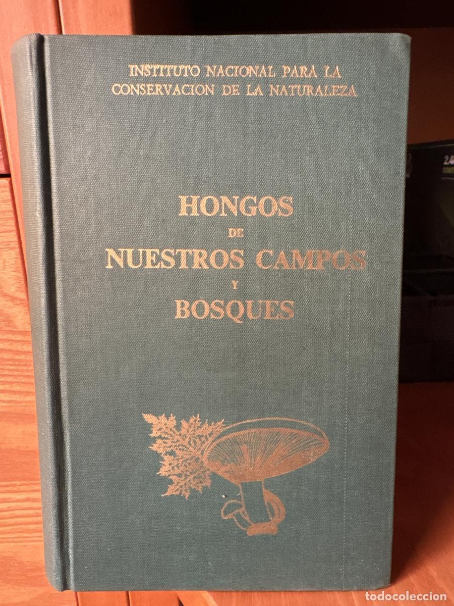 Libri di seconda mano: hongos de nuestros campos y bosques - Francisco de Diego Calonge tdk714