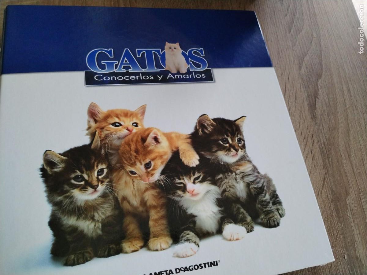 Libros: Gatos- conocerlos y amarlos-planeta de Agostini.