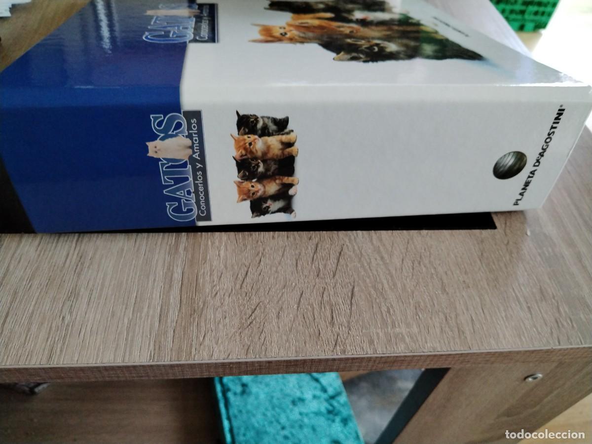 Libros: Gatos- conocerlos y amarlos-planeta de Agostini. - Foto 2