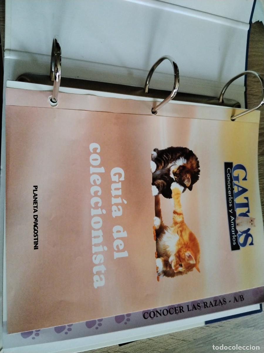 Libros: Gatos- conocerlos y amarlos-planeta de Agostini. - Foto 3
