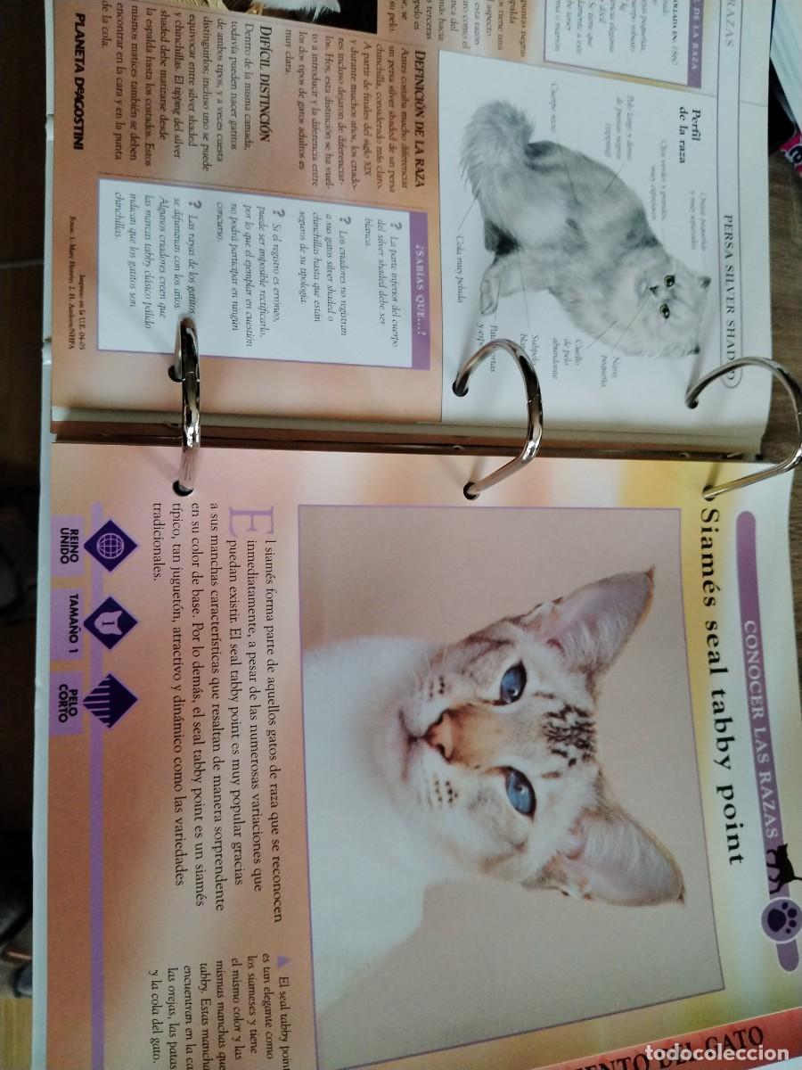 Libros: Gatos- conocerlos y amarlos-planeta de Agostini. - Foto 6