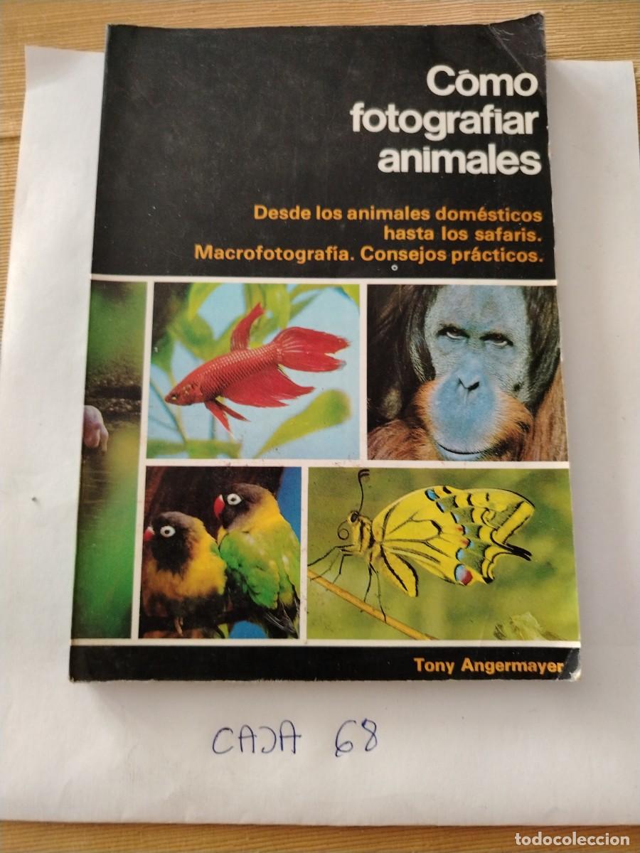 Libros: Libro como fotograf&iacute;ar animales macro fotograf&iacute;a, safaris