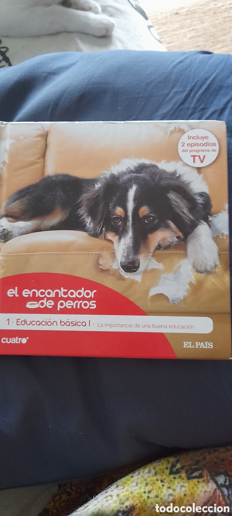Libros: El encantador de perros . Educaci&oacute;n basica