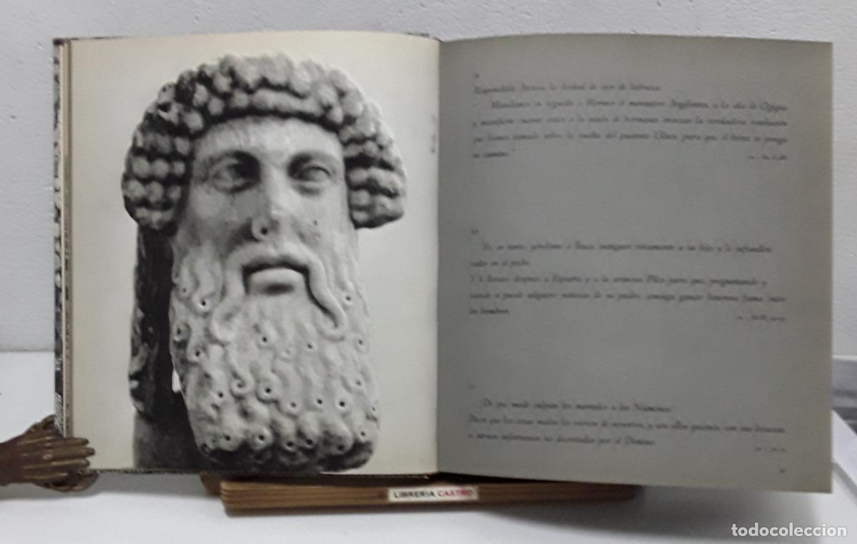 Libros: El tiempo de los Dioses - Roloff Beny - Foto 2