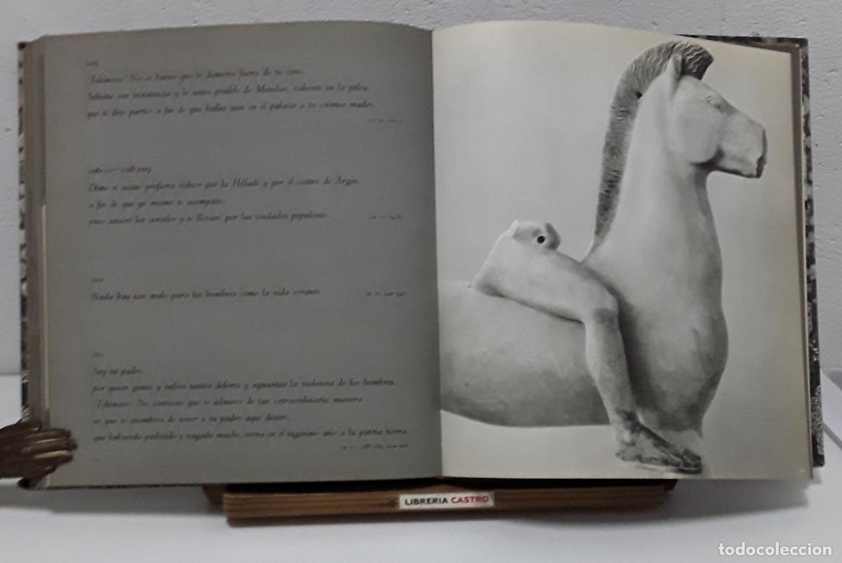 Libros: El tiempo de los Dioses - Roloff Beny - Foto 4