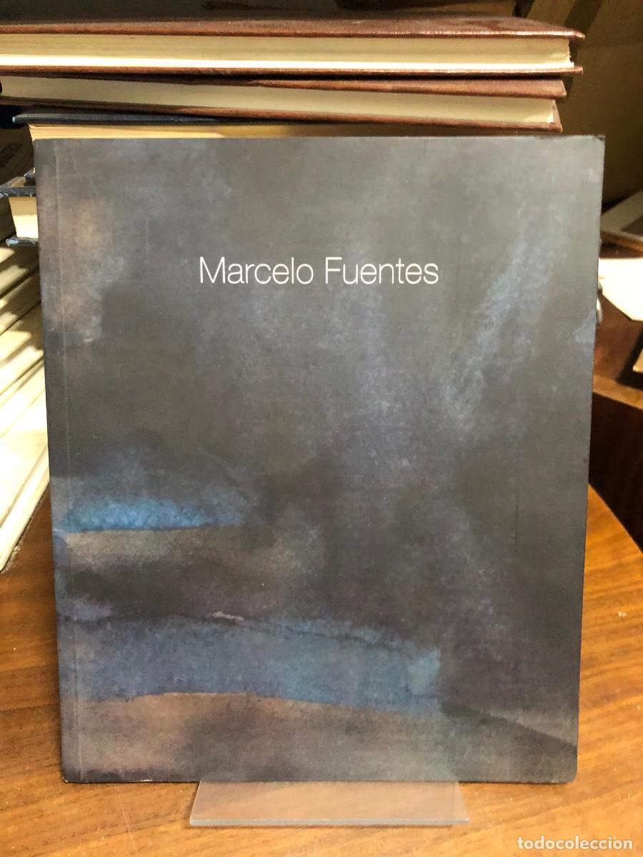 Libros: Entre ciudades Marcelo Fuentes (Sala Luz&aacute;n / CAI)