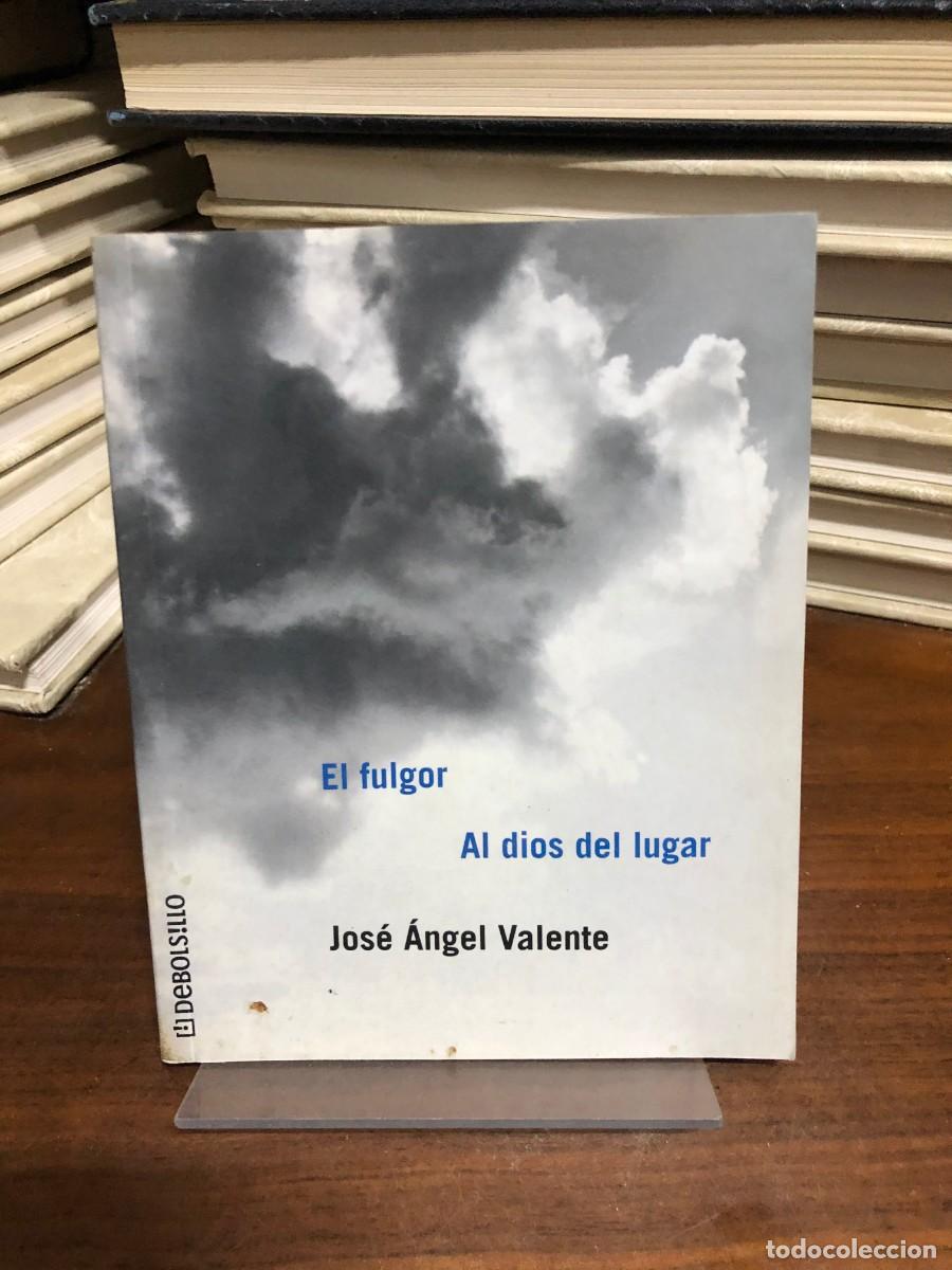 Libros: El fulgor / Al dios del lugar Jos&eacute; &Aacute;ngel Valente (Debolsillo)