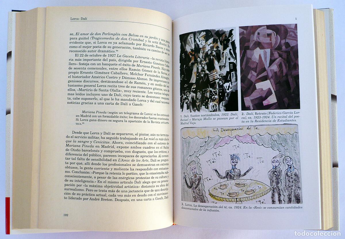 Libros: Lorca-Dali, el amor que no pudo ser, Ian Gibson - Foto 6