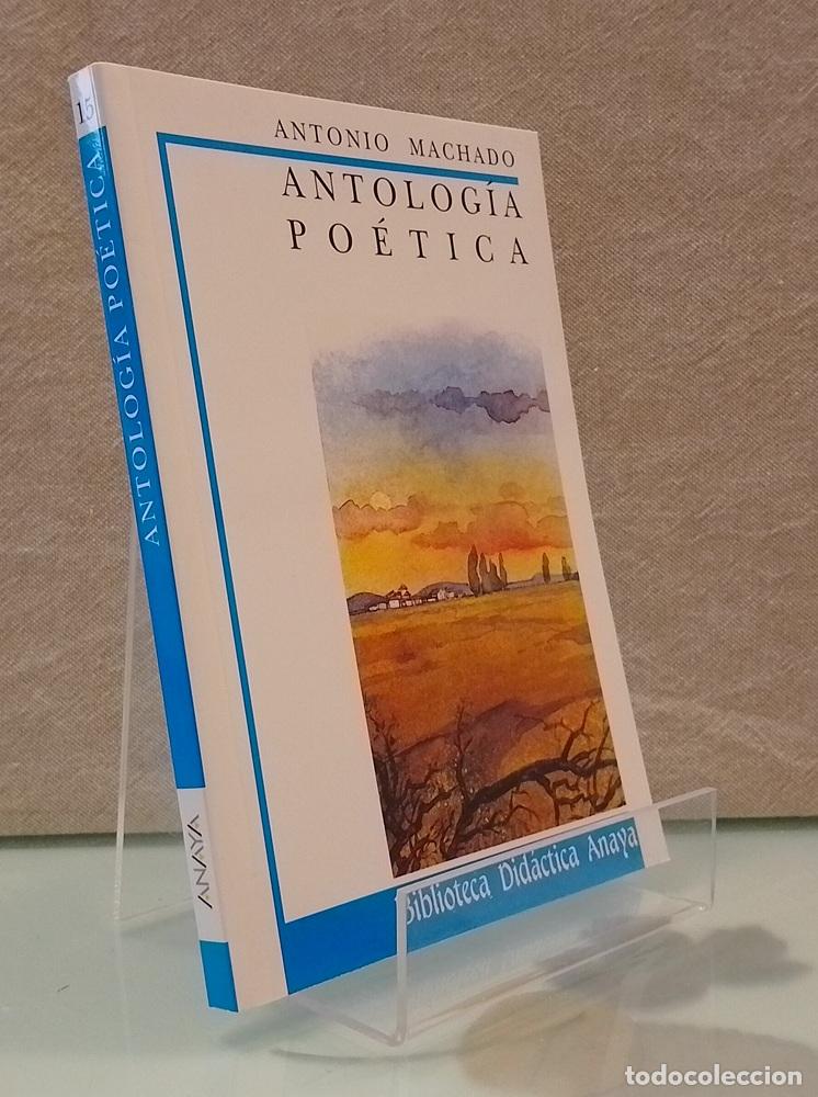 Libri di seconda mano: Antolog&iacute;a po&eacute;tica (como NUEVO) - Antonio Machado