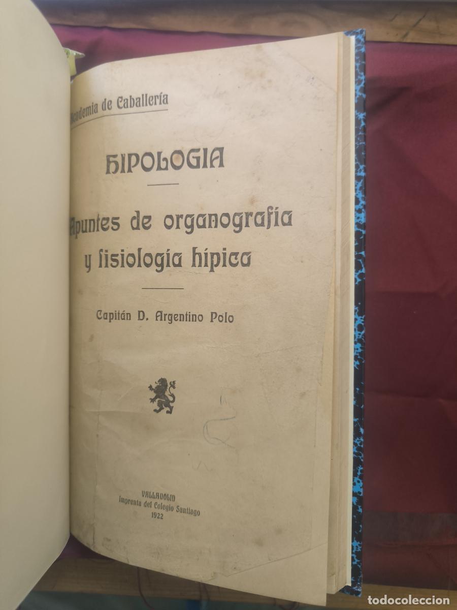 Libros: Hipolog&iacute;a. Apuntes de organograf&iacute;a y fisiolog&iacute;a h&iacute;picas - Argentino Polo