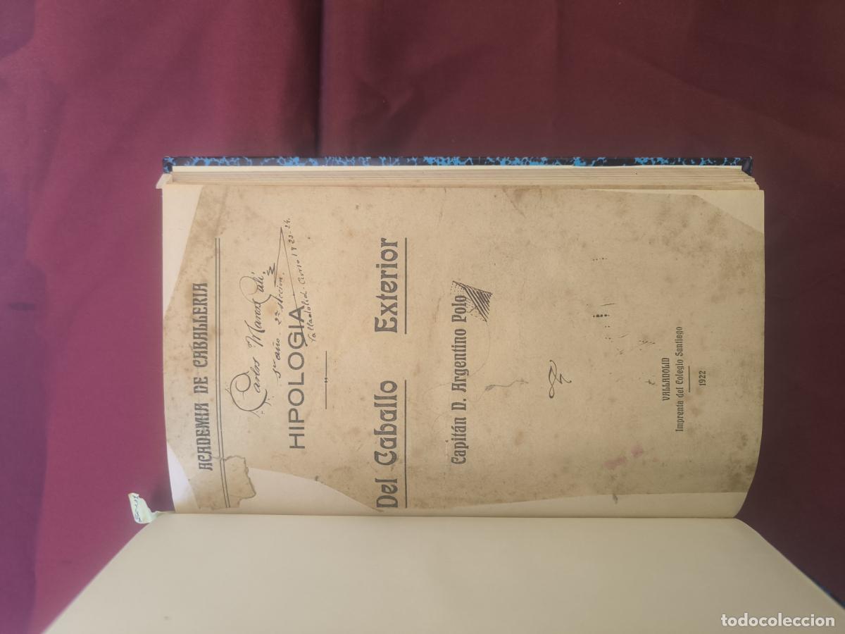 Libros: Hipolog&iacute;a. El caballo exterior - Argentino Polo
