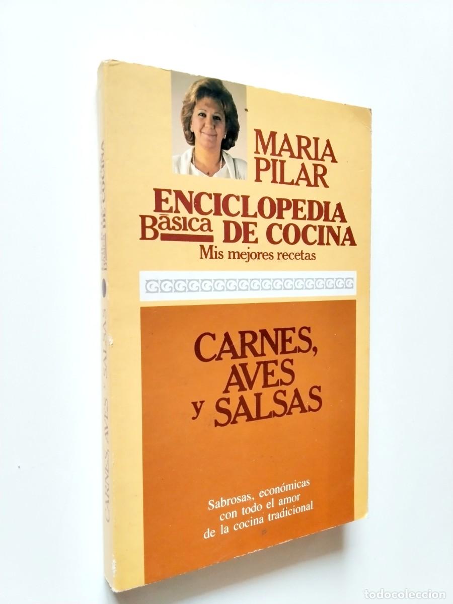 books: Mar&iacute;a Pilar - Carnes, aves y salsas