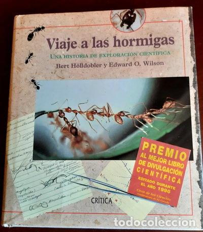Libros: Viaje a las hormigas- 9788474237573