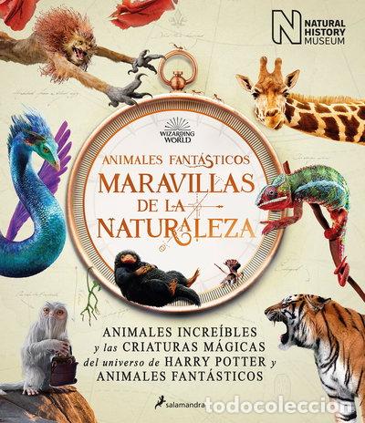 Libros: Animales fant&aacute;sticos: maravillas de la naturaleza- 9788418637056