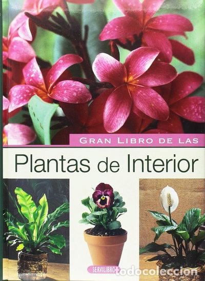 B&uuml;cher: Plantas de Interior- 9788479715540