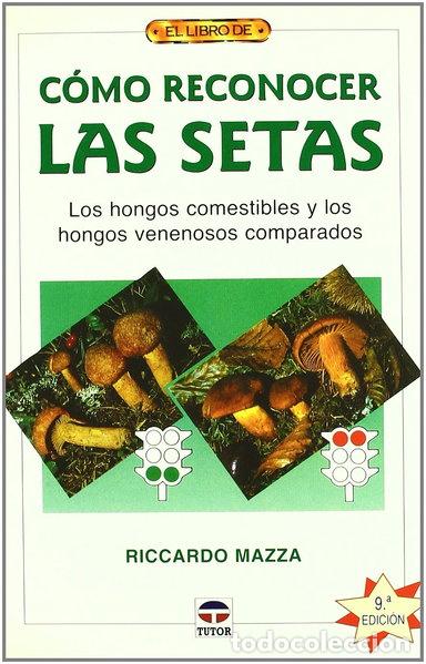 books: C&oacute;mo reconocer las setas- 9788479026868
