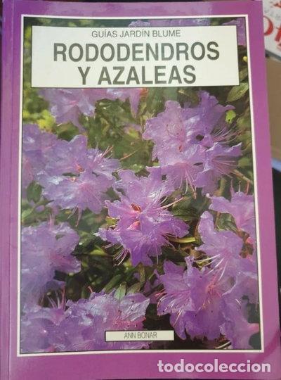 Livros em segunda m&atilde;o: Enredaderas y trepadoras- 9788480760515