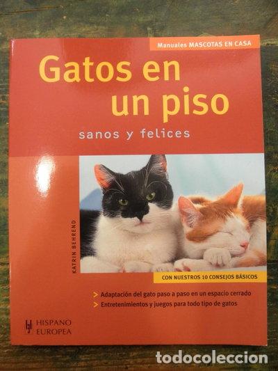 Libros: Gatos en un piso- 9788425518256