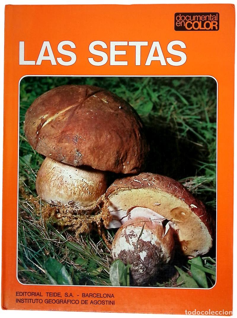 Livros em segunda m&atilde;o: Las setas (-) (libro de segunda mano)