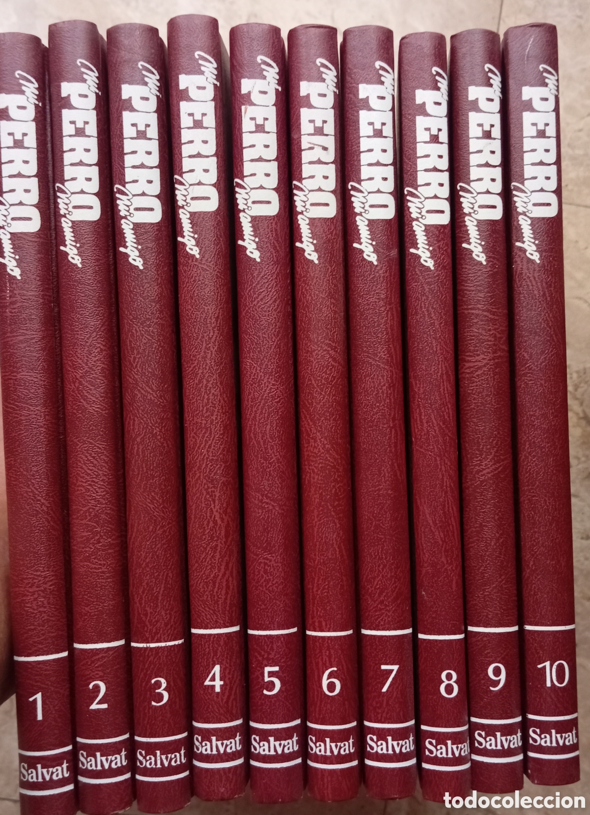 Libros: MI PERRO MI AMIGO 10 TOMOS