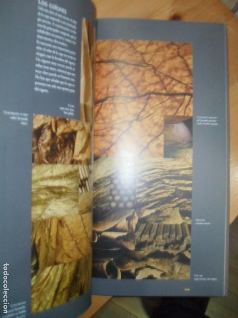 Libros: PUROS - GUILLAUME TESSON - LUC MONNET - Foto 4