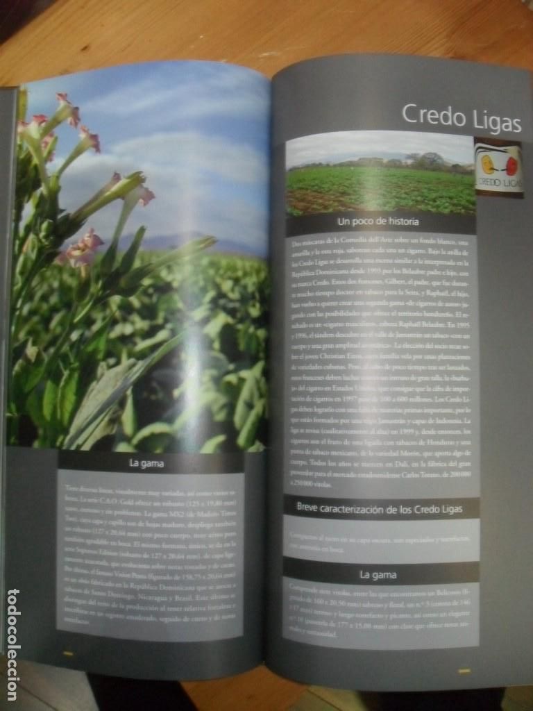 Libros: PUROS - GUILLAUME TESSON - LUC MONNET - Foto 5