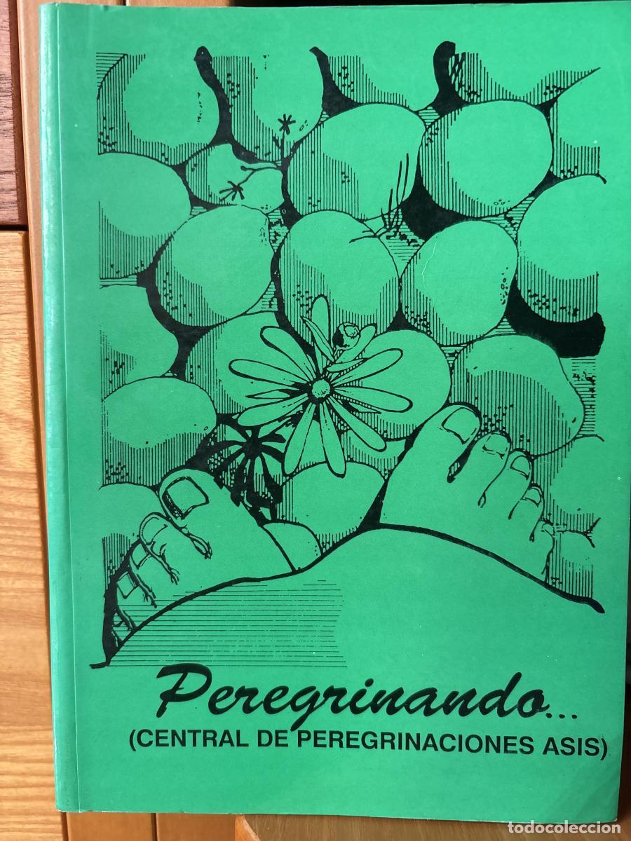 Libros: PEREGRINANDO (CENTRAL DE PEREGRINACIONES DE ASIS) - TDK728