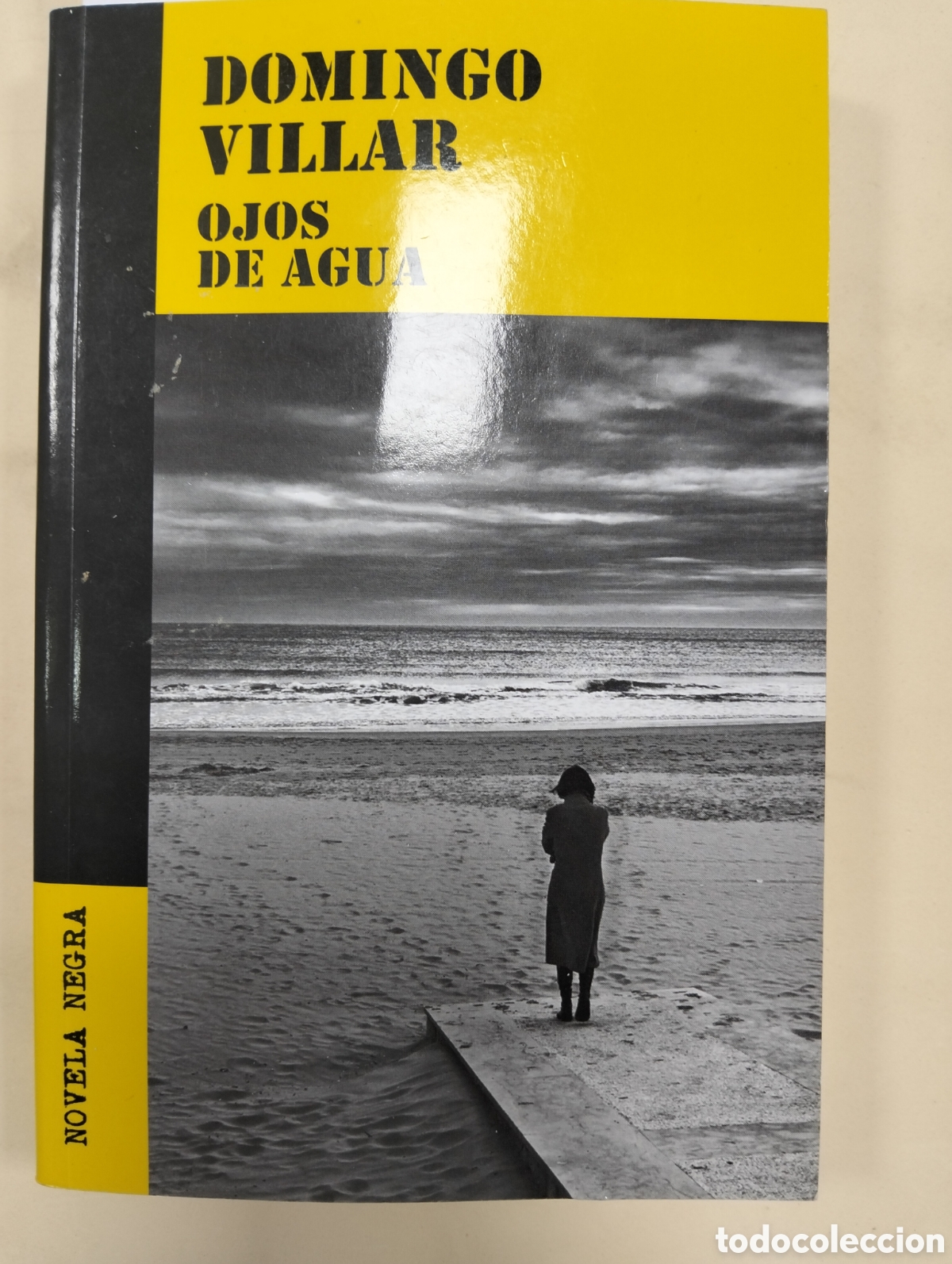 Libros: DOMINGO VILLAR / OJOS DE AGUA