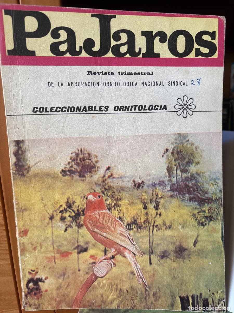 Libros: REVISTA PAJAROS. N&ordm; 28. A&Ntilde;O VII. ABRIL-MAYO-JUNIO 1975. COLECCIONABLES ORNITOLOGIA - AGRUPACION ORNI