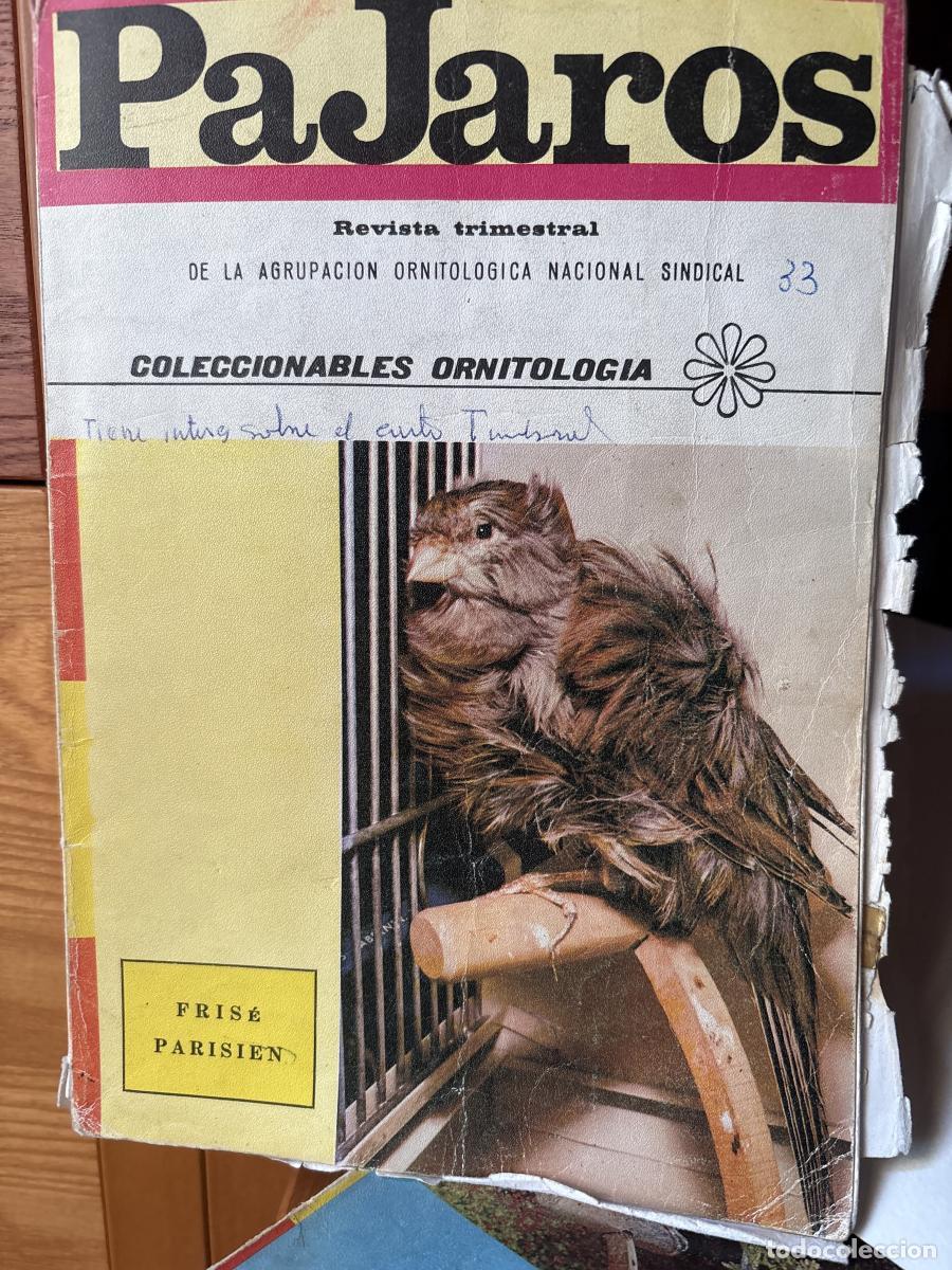 Libros: REVISTA PAJAROS. N&ordm; 33. A&Ntilde;O IX. JULIO-AGOSTO-SEPTBRE 1976 - AGRUPACION ORNITOLOGICA NACIONAL SINDICA
