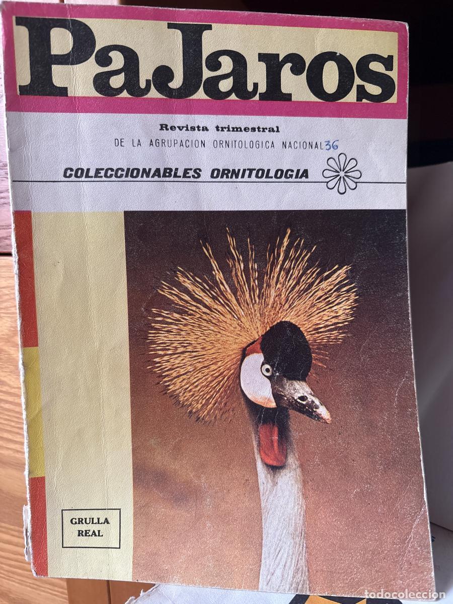 Libros: REVISTA PAJAROS. N&ordm;36. A&Ntilde;O X. ABRIL-MAYO-JUNIO 1977 - AGRUPACION ORNITOLOGICA NACIONAL SINDICAL TDK7