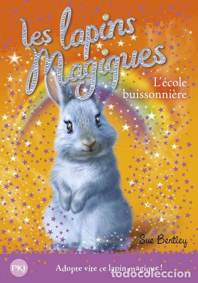 Livres: Les lapins magiques - tome 4: L'&eacute;cole buissonni&egrave;re- 9782266256841