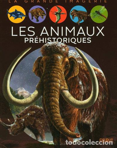 Libri di seconda mano: Les animaux pr&eacute;historiques- 9782215158073