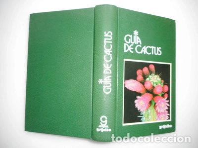Livres: Gu&iacute;a de Cactus- 9788425318450