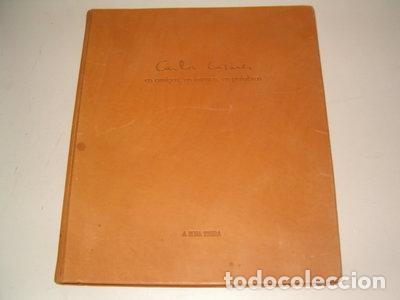 Libros: Carlos Casares: os amigos, as imaxes, as palabras- 9788496403208