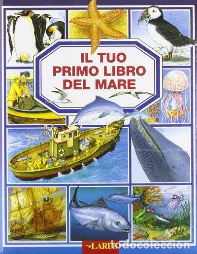 Libros: Il tuo primo libro del mare- 9788859947172