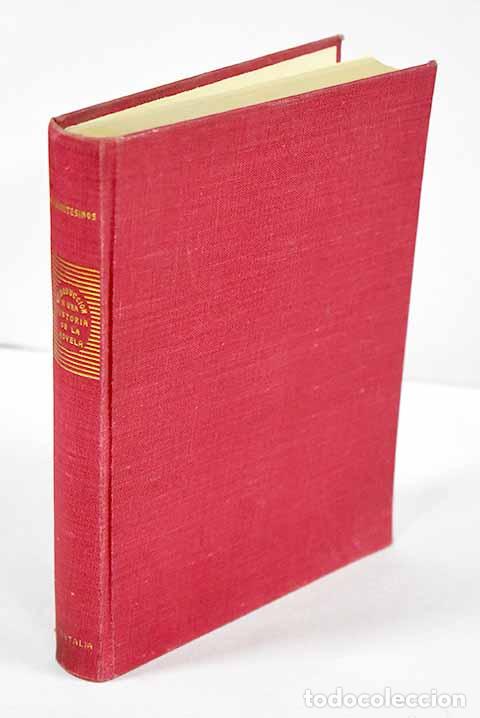 B&uuml;cher: Introducci&oacute;n a una historia de la novela en Espa&ntilde;a, en el siglo XIX .- Montesinos, Jos&eacute; F.