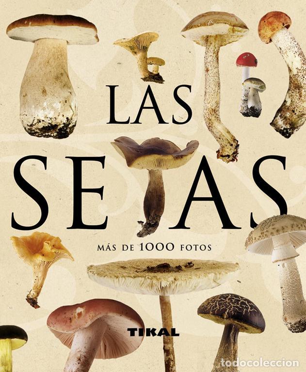 Libros: Las setas. - Lamaison, Jean-Louis.