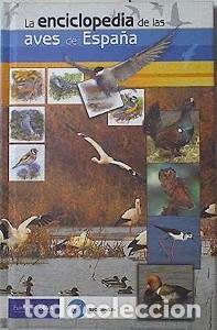 Libros: La Enciclopedia de las Aves de Espa&ntilde;a - Aa.vv - Fundaci&oacute;n Banco Bilbao Vizcaya Argentaria