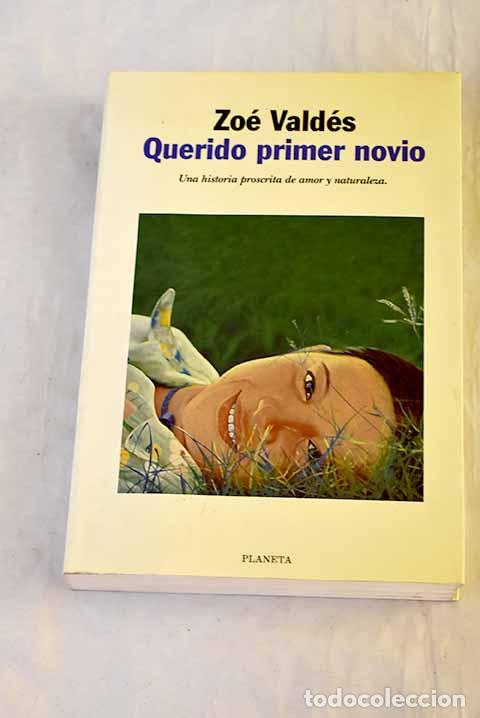 Libros: Querido primer novio.- Vald&eacute;s, Zo&eacute;